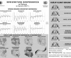 Infografika - Koniunktura gospodarcza w Polsce w styczniu 2017 r. Foto