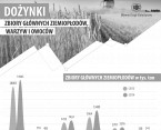 Infografika - Dożynki (zbiory głównych ziemiopłodów, warzyw i owoców) Foto