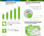 Infografika - Lasy w Polsce (21 marca - Międzynarodowy Dzień Lasów) Foto