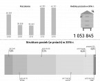 Infografika - Wielki Dzień Pszczół (8 sierpnia) Foto