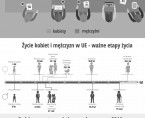 Infografika - Europejski Dzień Statystyki (20 października) Foto