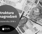 Infografika - Struktura wynagrodzeń w październiku 2018 r. Foto