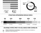 Infografika - Jakim pracodawcą jest GUS Foto