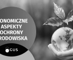 Infografika - Ekonomiczne aspekty ochrony środowiska w 2021 roku Foto