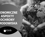 Infografika - Ekonomiczne aspekty ochrony środowiska w 2023 roku Foto