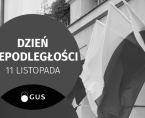 Infografika - Dzień Niepodległości (11 listopada) Foto