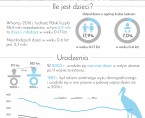 Infografika - Dzieci w Polsce ( Dzień Dziecka - 1 czerwca) Foto